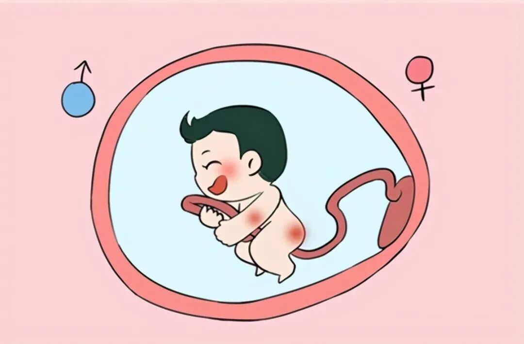 为什么说男翻女几率大_4个的原因男翻女_男翻女概率