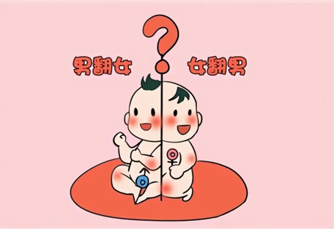 男翻女概率_为什么说男翻女几率大_4个的原因男翻女