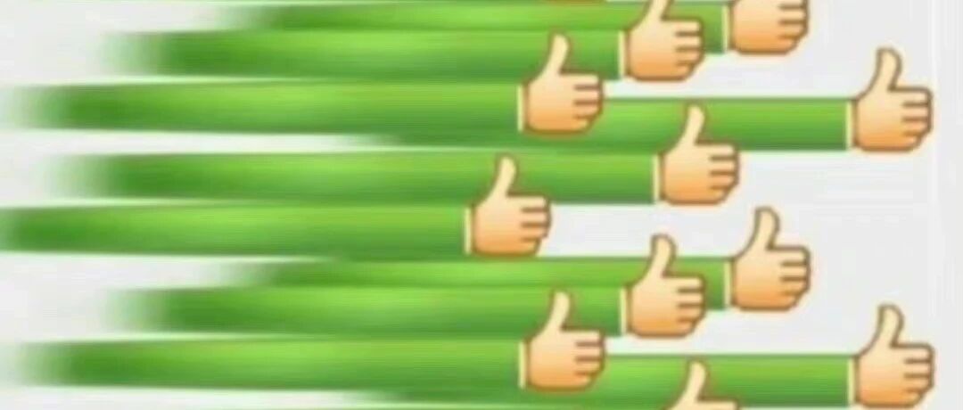 4月爱用｜我好像挖到宝了！！