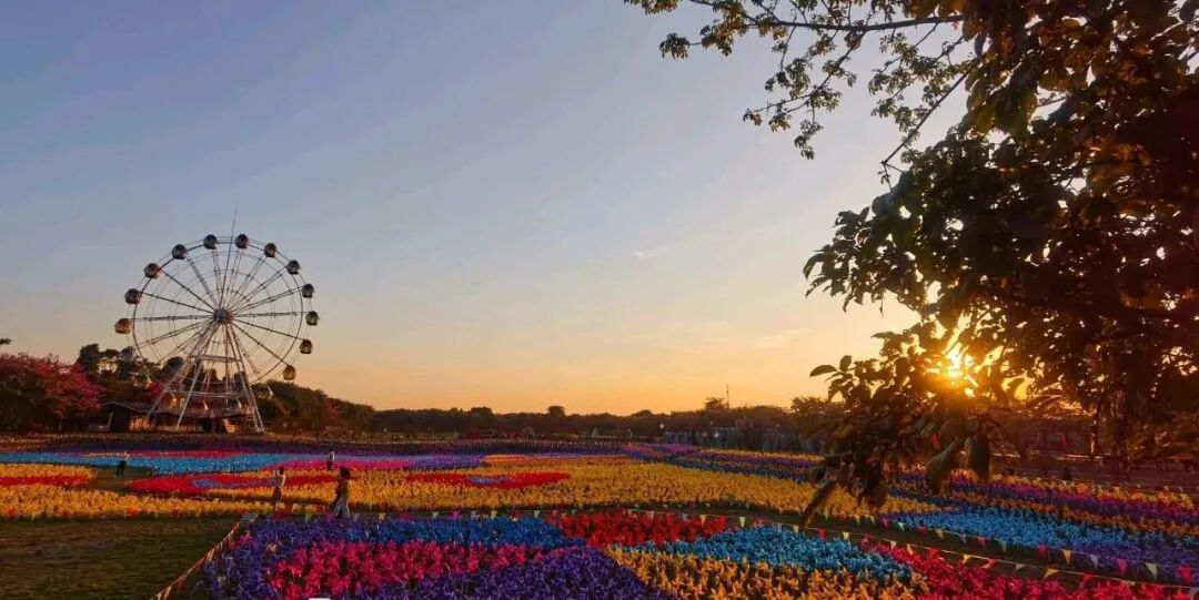 佛山团建攻略 | X-PLANE 无人机主题团建活动 → 空中绘梦 • 创意无界-5979 