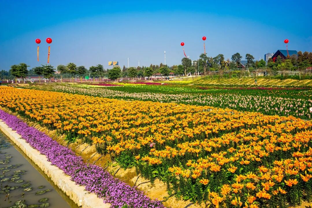 佛山团建攻略 | X-PLANE 无人机主题团建活动 → 空中绘梦 • 创意无界-4640 