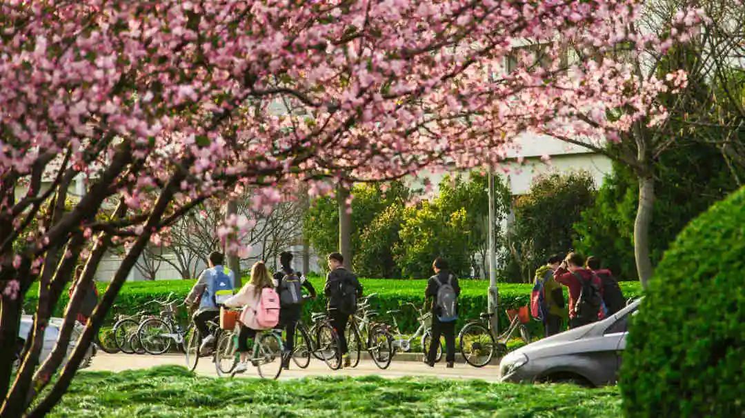 上海各大学招生分数线_2023年上海大学招生简章录取分数线_上海每所大学的录取分数线