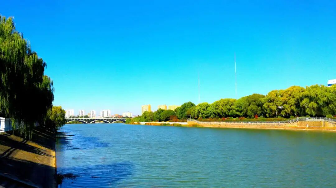 刑警_女刑警之月夜_变装刑警女队长白冰29