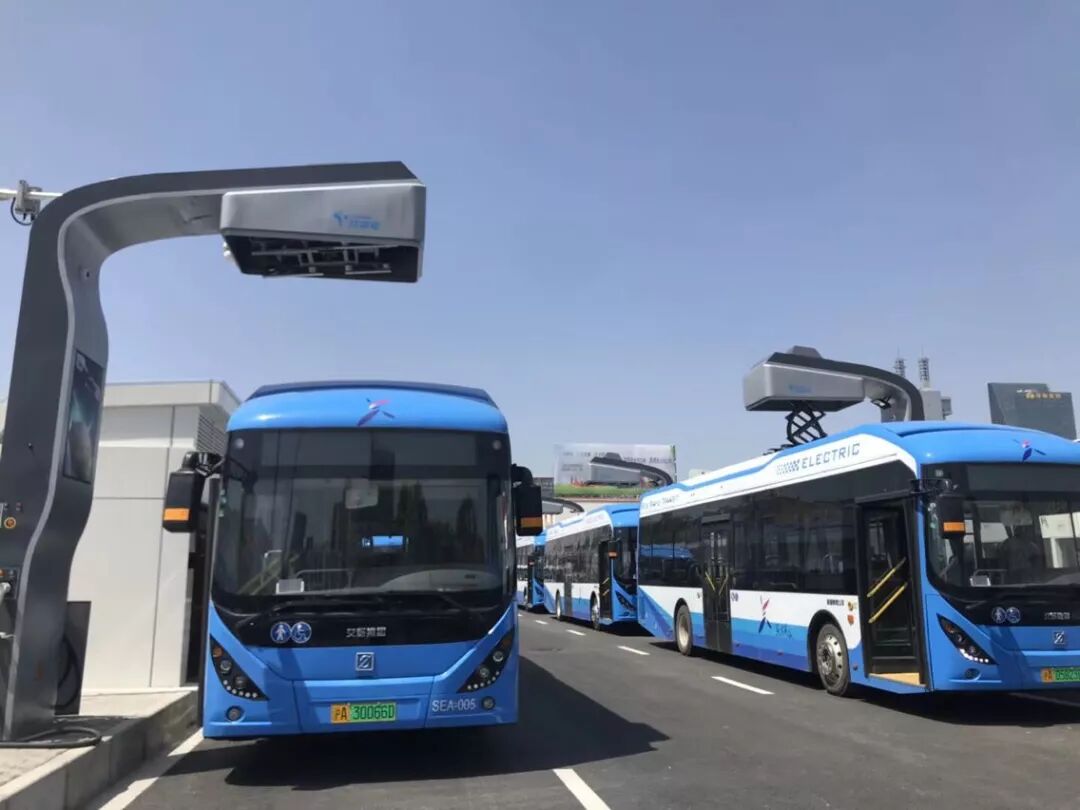 上海奉浦快线4月20日起正式载客运营:途径站点 票价 发车时间一览