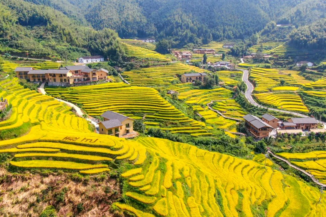 上堡梯田风景区图片