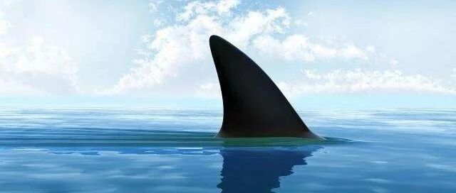 阴谋论何以野蛮生长