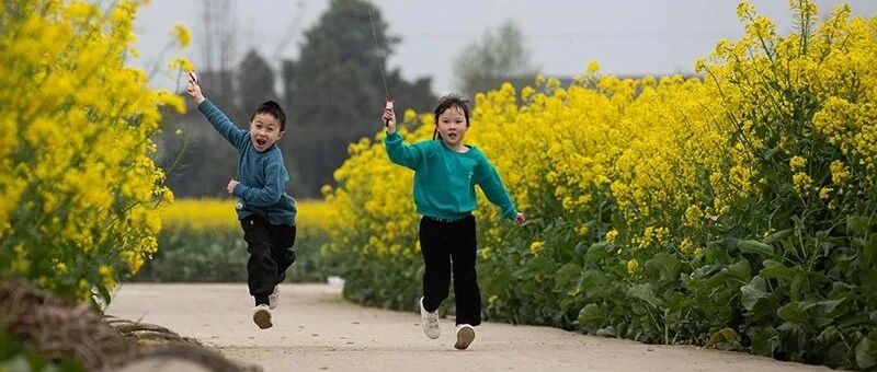 是什么抹杀了孩子的野性？