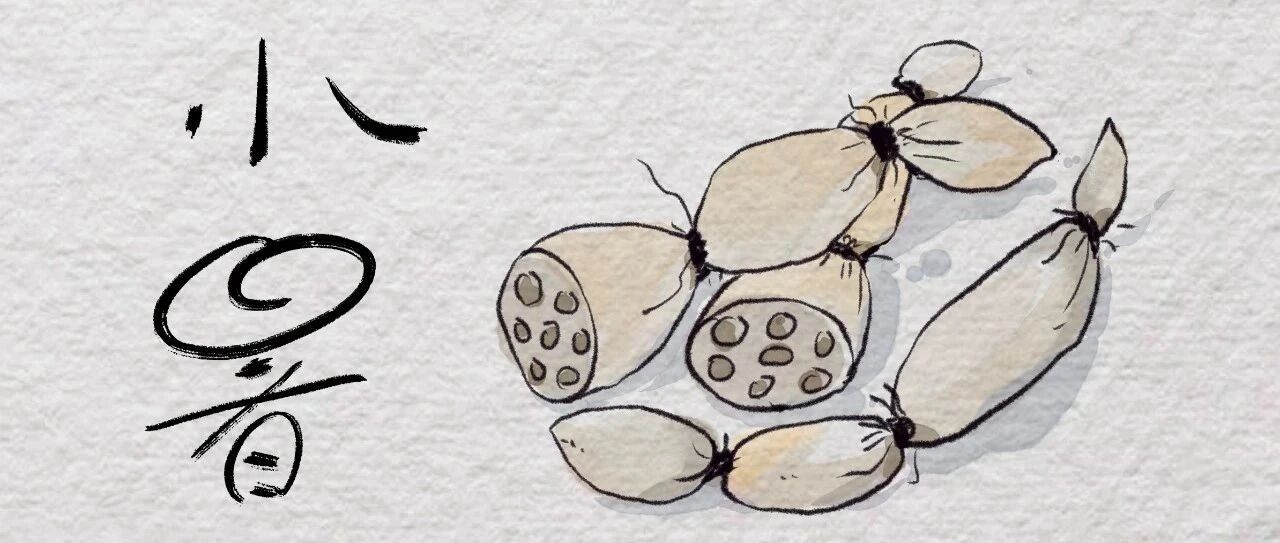 手绘丨今日小暑，上蒸下煮