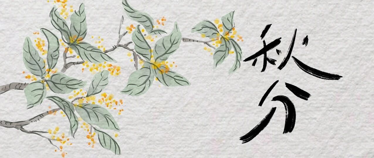 手绘丨今日秋分，迎丰收