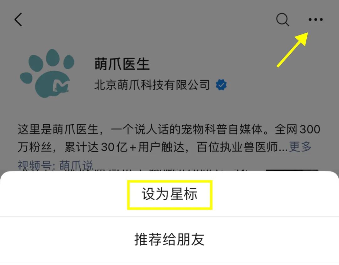 英国寄来的猫咪听不懂中文