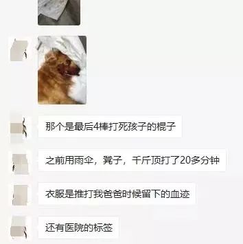 金毛犬慘遭活活打死、70歲老人被打傷入院，主人盼望你幫他找回正義！ 寵物 第10張