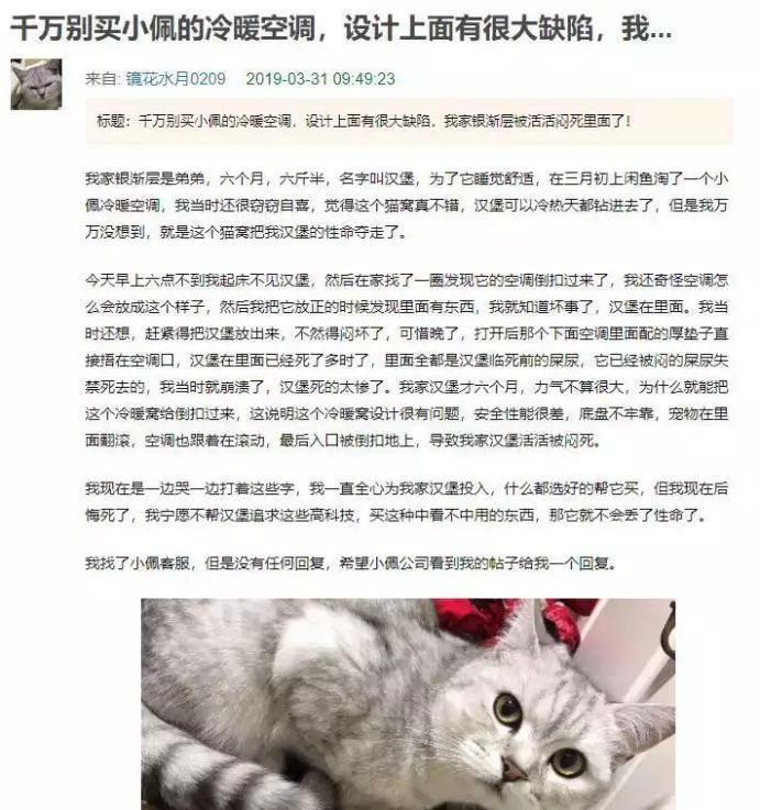 猫 白血病 多久死_猫 死_死猫