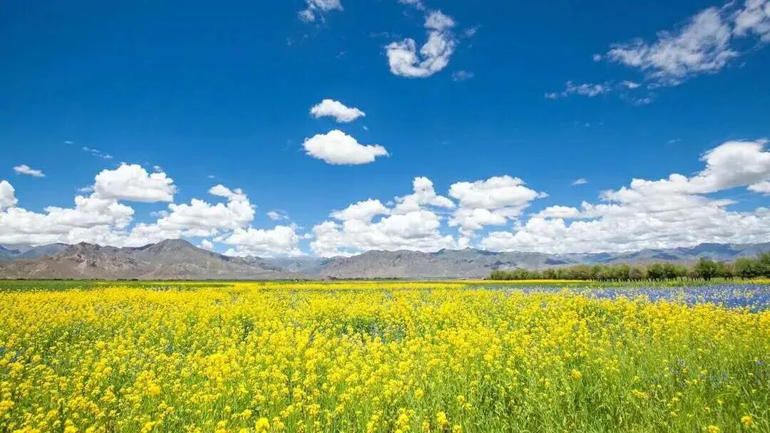 西藏的天堂在哪里_西藏哪个地方离天堂最近_尺尊公主