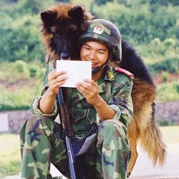 大警犬穿鞋子，小警犬抱怀里!这个国家的阅兵式因为警犬火了!