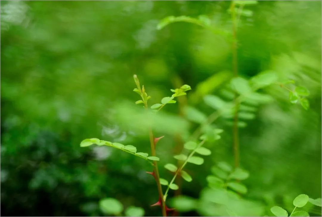 【早听】岁月催人老，开心最重要