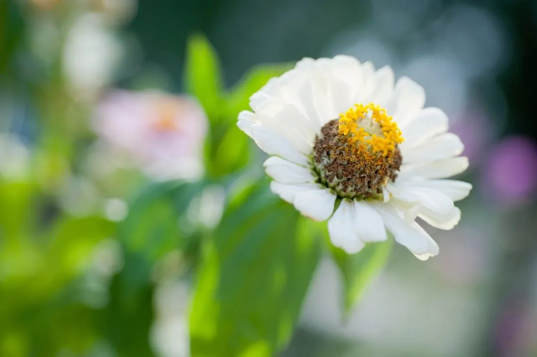 做人，要有阳光心态！