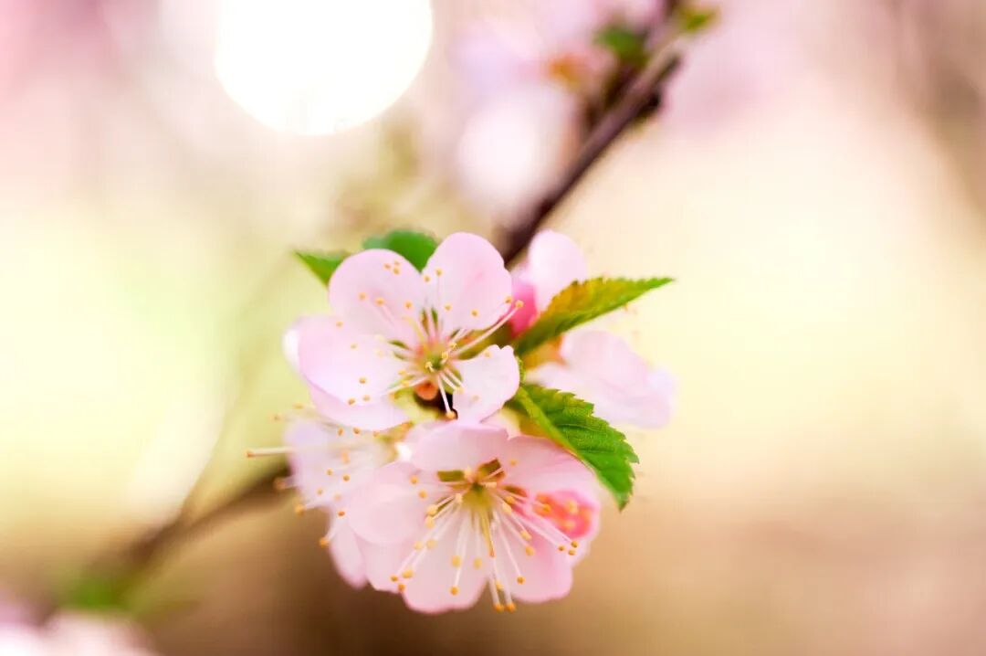 逆风笑解说一小时人生_重生之出人头地笑恨人生著_笑对人生