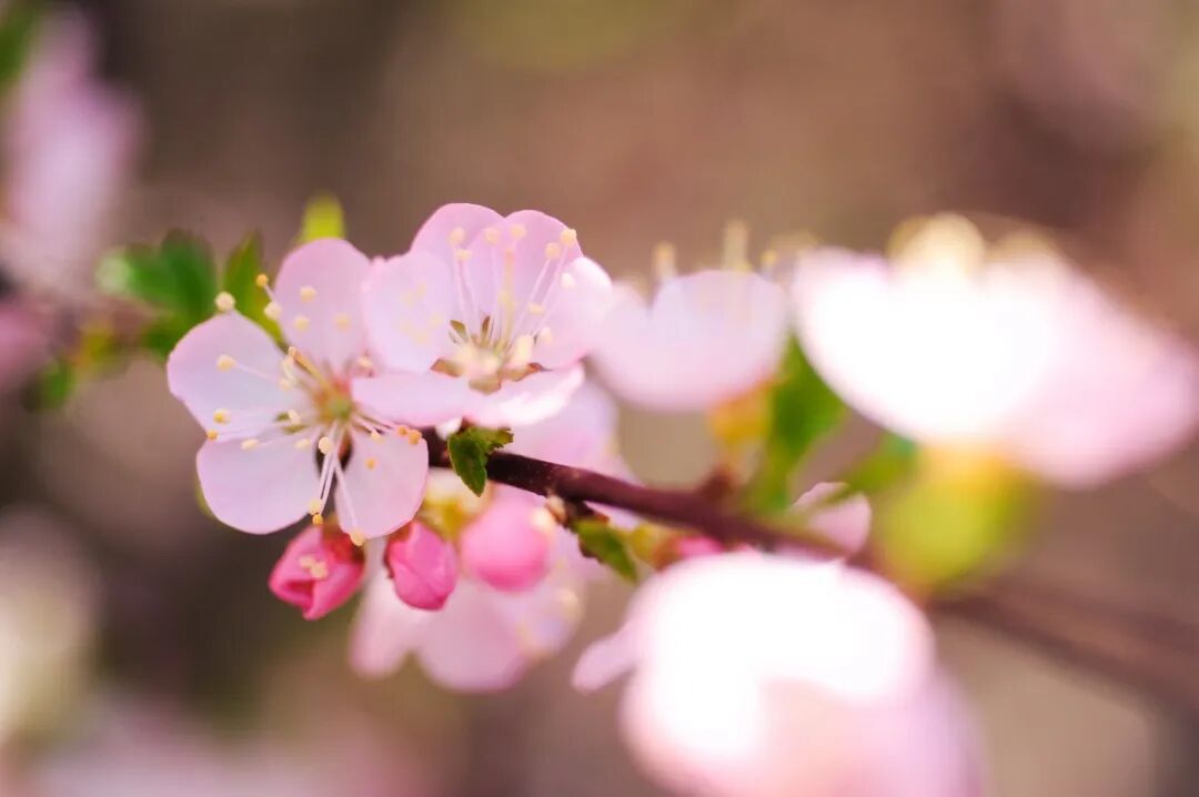逆风笑解说一小时人生_笑对人生_重生之出人头地笑恨人生著