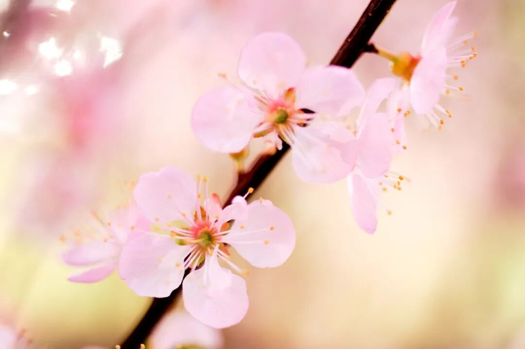 重生之出人头地笑恨人生著_逆风笑解说一小时人生_笑对人生