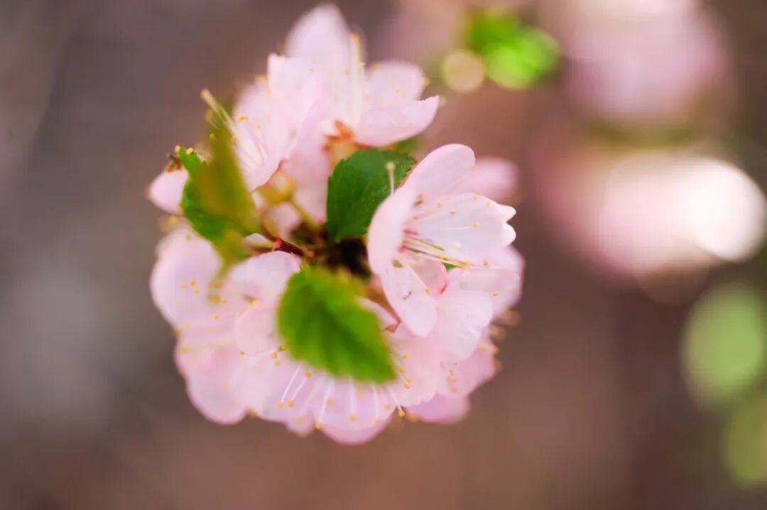 重生之出人头地笑恨人生著_笑对人生_逆风笑解说一小时人生