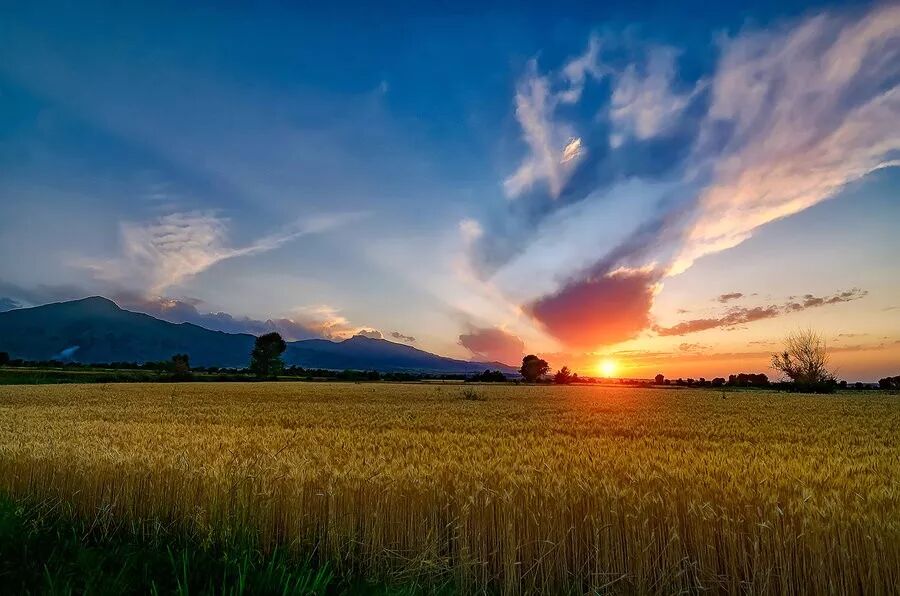 华莱早读：人生的快乐，是走自己的路，看自己的风景