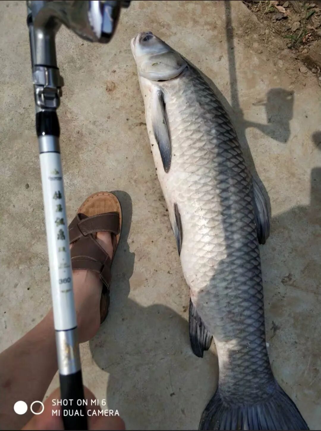 集手竿和海竿的优点于一身怪不得大家都喜欢矶竿 汉鼎鱼竿天猫旗舰店