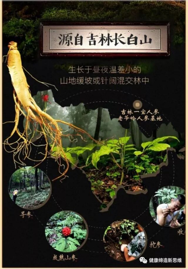 东参一宝 健康饮品 健康选择 人参咖啡 人参豆粉 隆重上市 健康缔造新思维 微信公众号文章阅读 Wemp