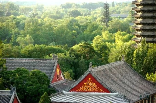 20180122171230_1wpaxk6nim.png?v=1762008261159