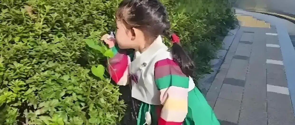 崔智友中秋晒照,5岁女儿穿韩服行礼,宛如古代官宦小姐
