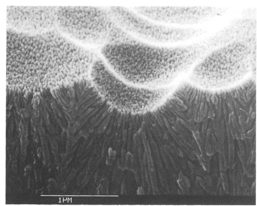 阳极氧化技术 | 为铝合金穿上抗“蚀”外衣 | 助铝合金上天入海的图16