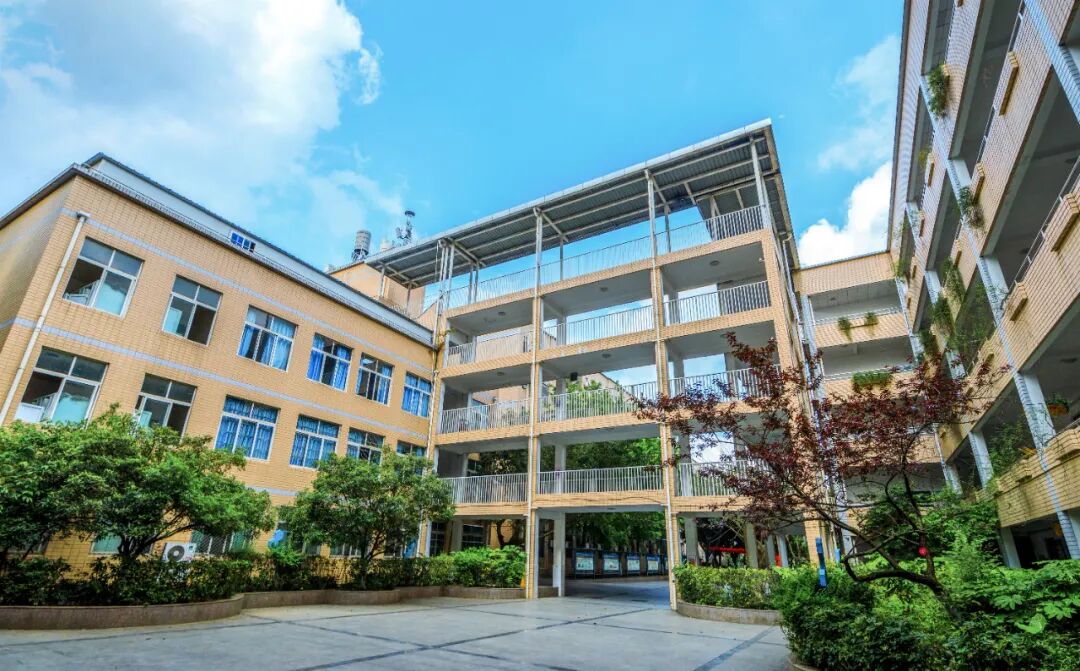 绵阳外国语学校精品补习班招生公告