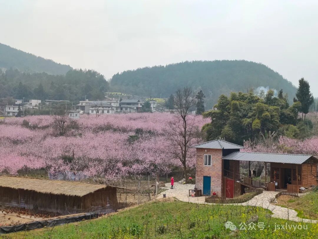 踏春赏花去建始就对了