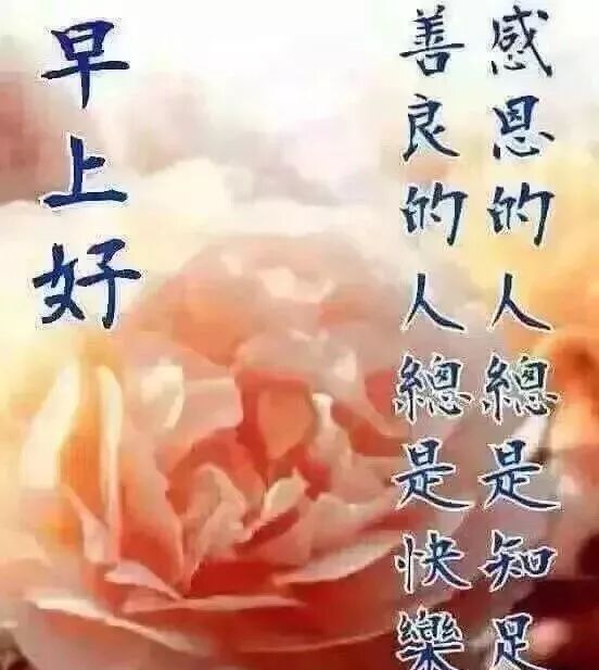 19最新版正能量祝福语录图片 最美早上好祝福语图片鲜花带字 晚安名言 微信公众号文章阅读 Wemp