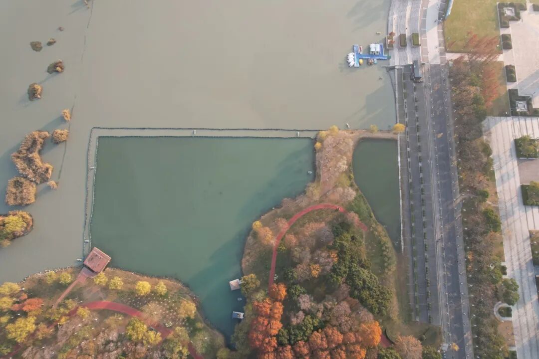 省巢湖管理局联合生态环境部长江局监测中心调研巢湖底泥洗脱生境改善试验项目