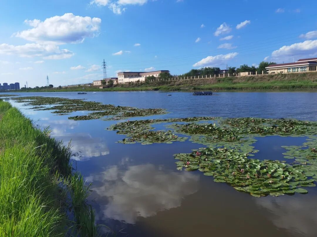 消除黑臭离生态恢复有多远？——底泥洗脱暨生态修复技术亮相中国新环会