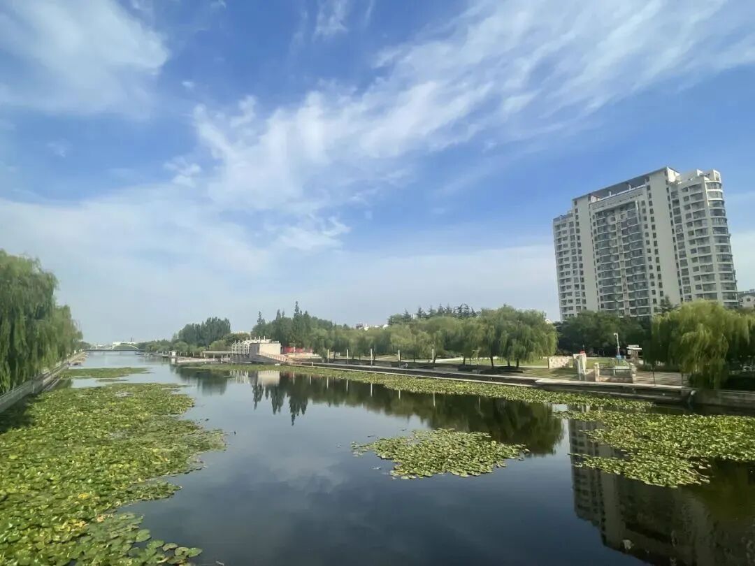 消除黑臭离生态恢复有多远？——底泥洗脱暨生态修复技术亮相中国新环会