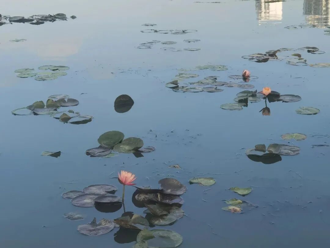 安庆&ldquo;两湖三河&rdquo;水环境治理项目顺利通过验收