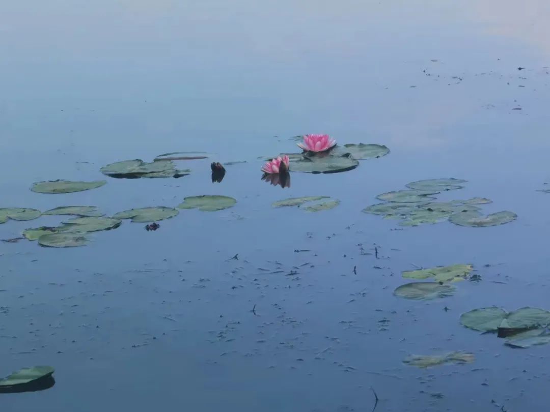 蚌埠市生态环境局局长沈三保一行考察安庆“两湖三河”水环境治理项目