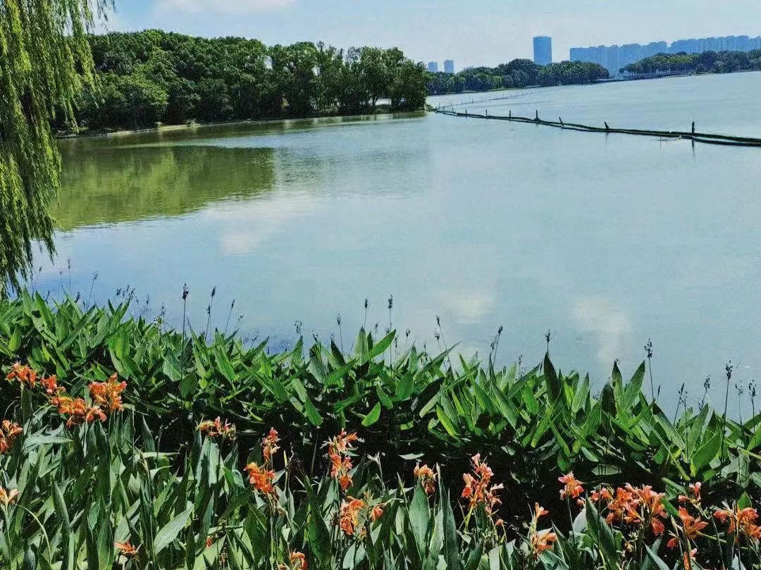 蚌埠市生态环境局局长沈三保一行考察安庆“两湖三河”水环境治理项目