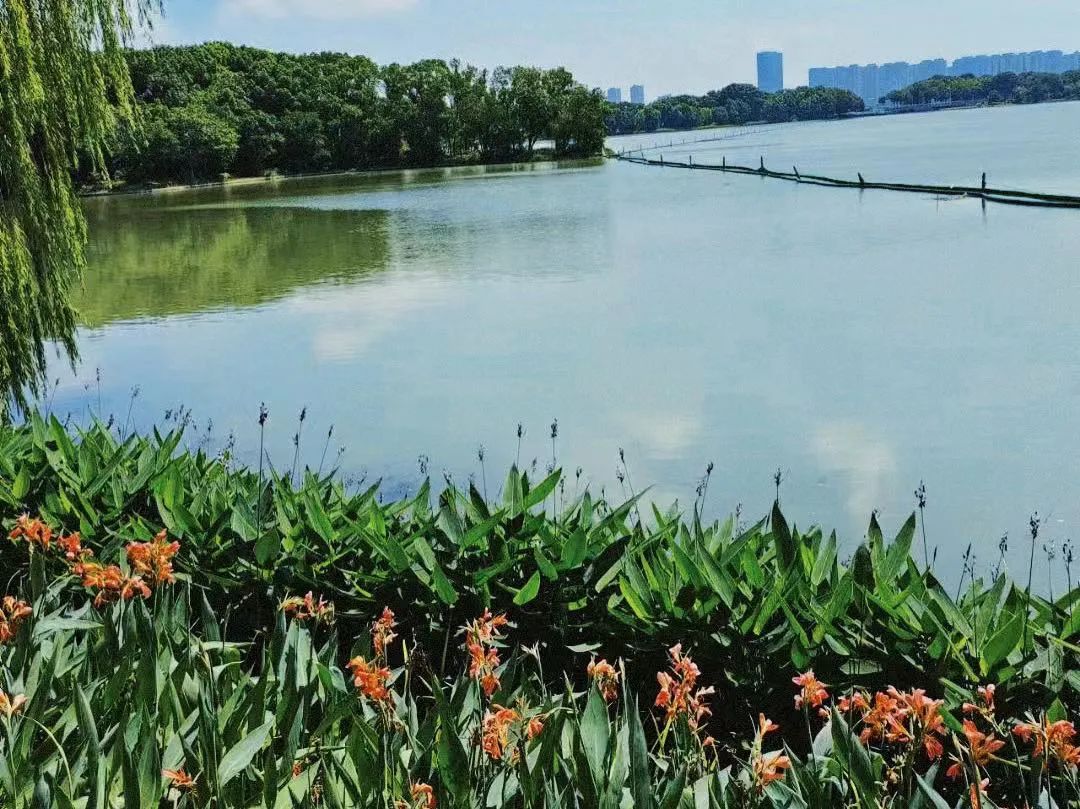 圖片 蚌埠市生態(tài)環(huán)境局局長沈三保一行考察安慶“兩湖三河”水環(huán)境治理項(xiàng)目