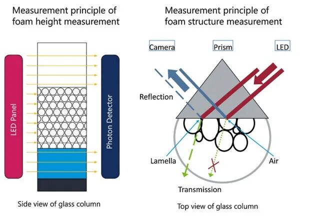 科學量化泡沫穩(wěn)定性和感官體驗