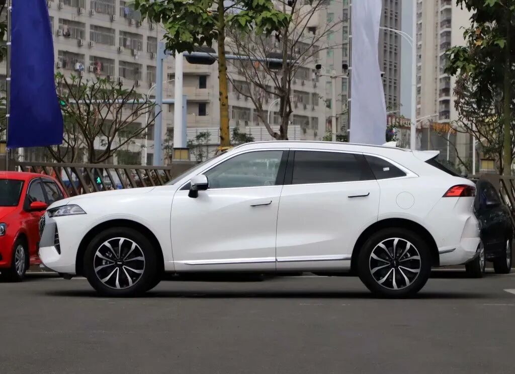 土豪卻不識貨 車身長5米1 該車實力硬核性能強大 Wey良心一次 中國熱點