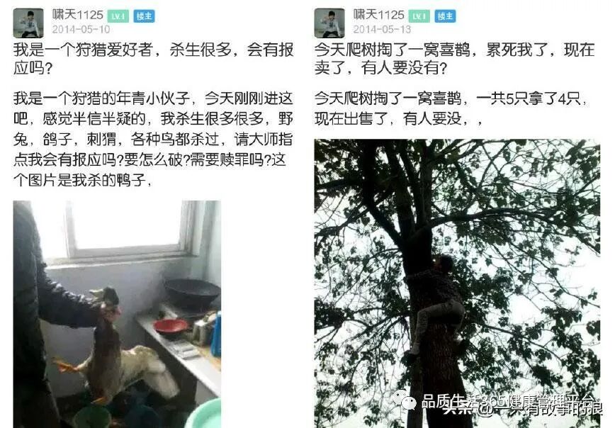 “掏鸟案”男子出狱，身价1500万