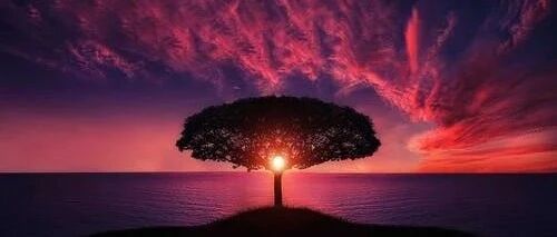 医保降价如何进行？如何重构药价谈判竞争力？专家将一一揭秘！