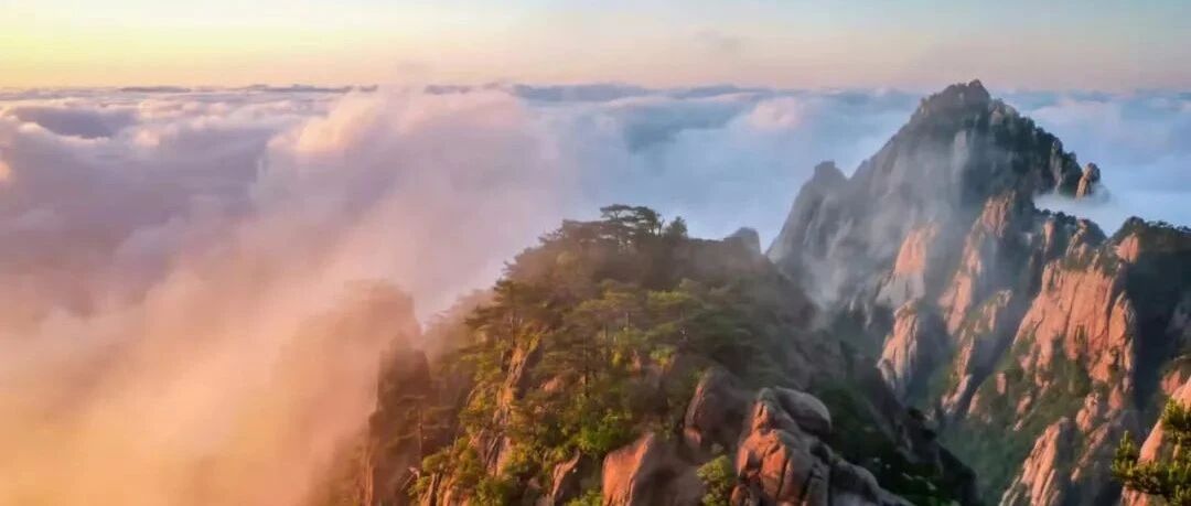 CRISPR技术：神仙打架不新鲜，临床研究有看点