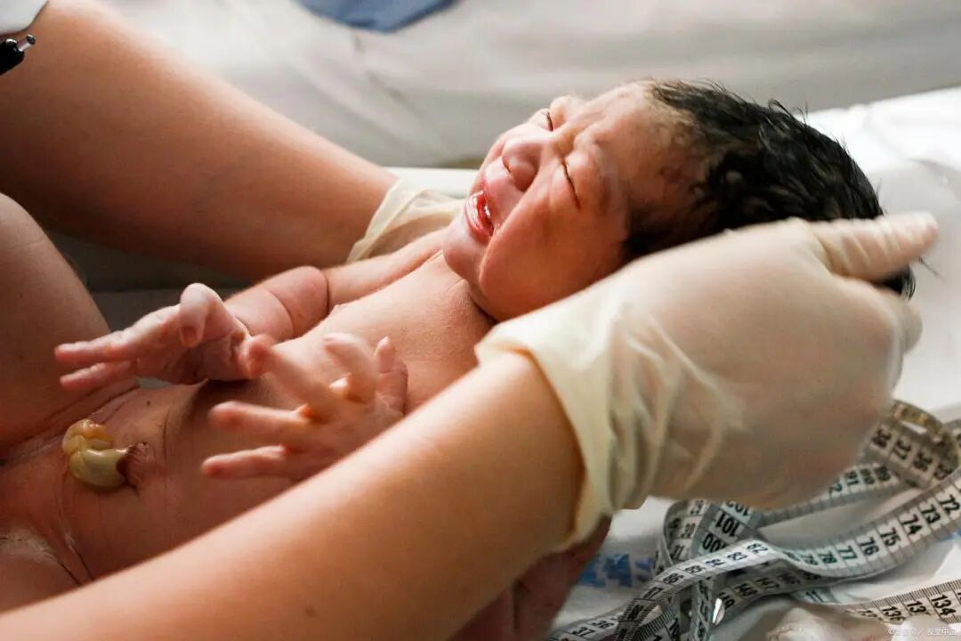 为什么剪脐带要先夹住新生儿是怎么剪断脐带？剪脐带时宝宝疼不疼？可能和你想的不一样_https://www.jmylbn.com_新闻资讯_第10张