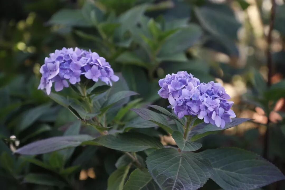 49岁爸爸自学通过司考：成功的家庭教育，从培养孩子好习惯开始