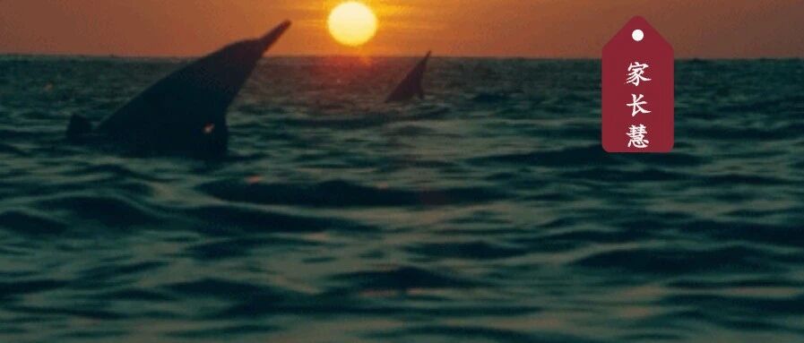 家委会要凉凉？遭央视网、环球网怒批：“家委会管得也太宽了！”