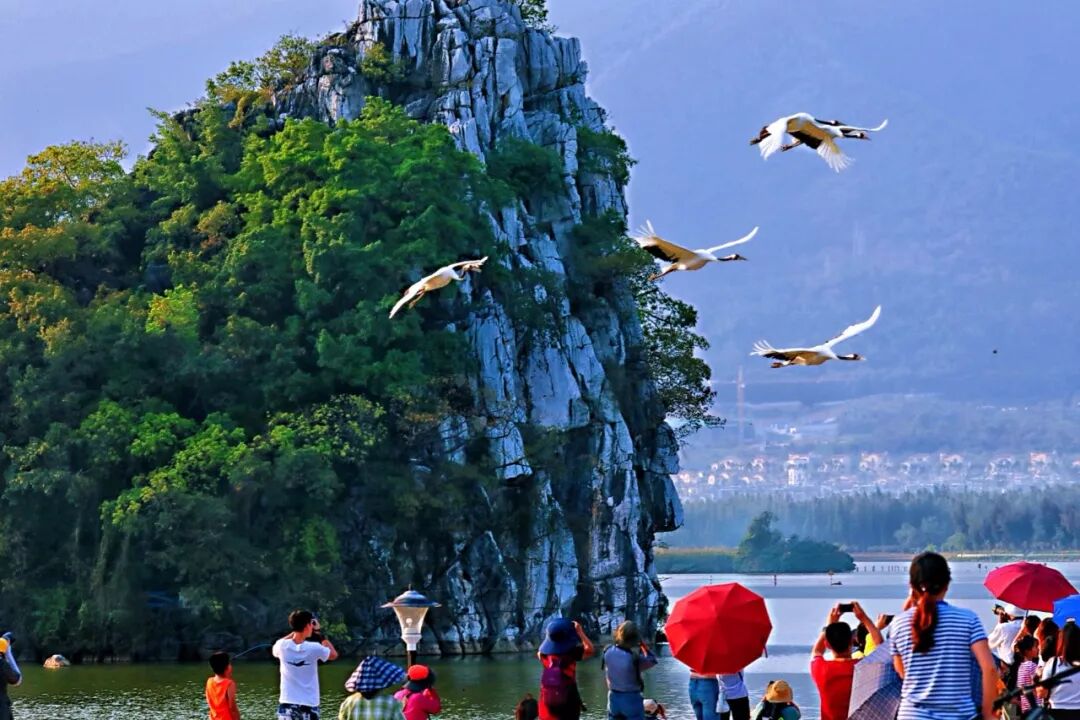 聂伟健 摄