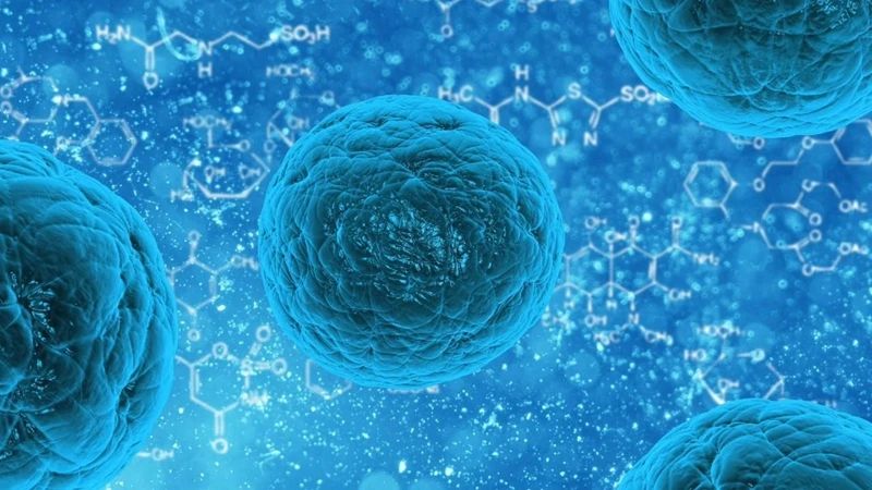 癌症发生转移后，积极治疗还是干脆放弃？其实在选择上并不两难